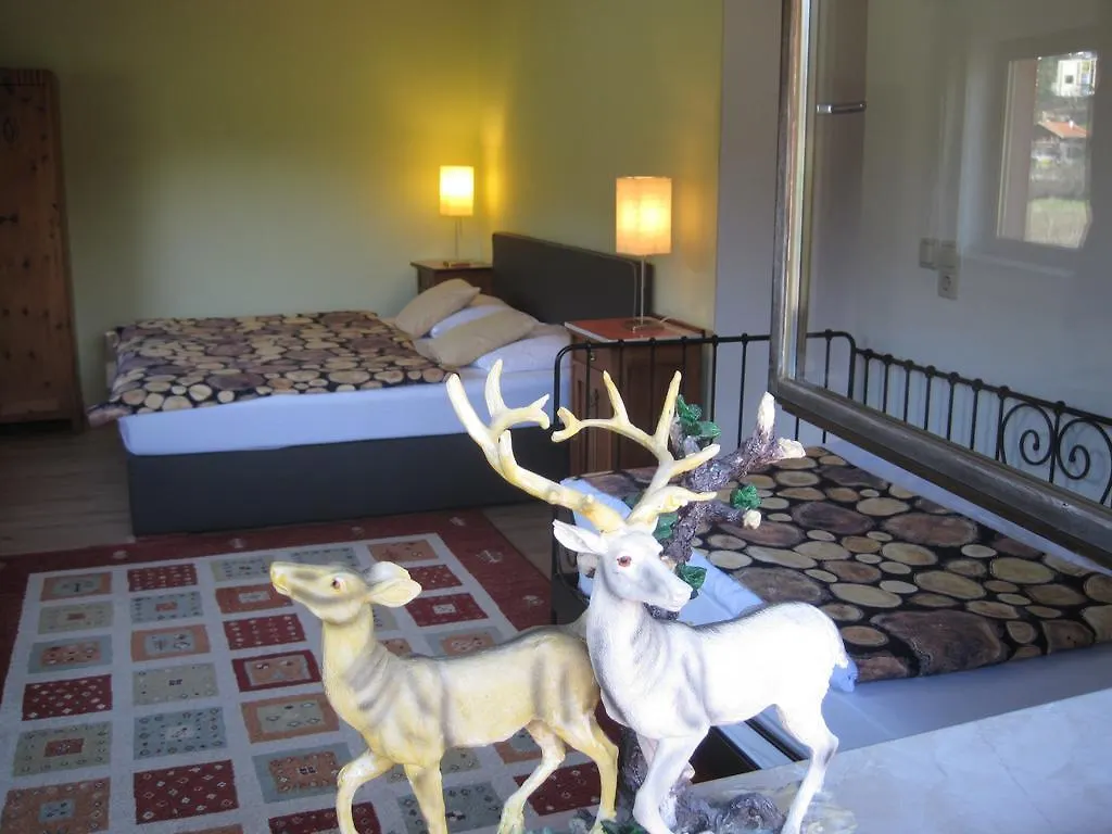 The Art & Sport Hotel Innsbruck 3*,